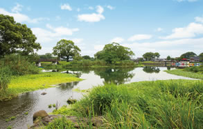 水前寺江津湖公園